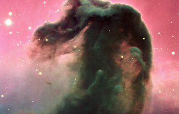 Mounted image 031: The Horsehead Nebula