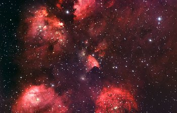 Mounted image 115: The Cat's Paw Nebula