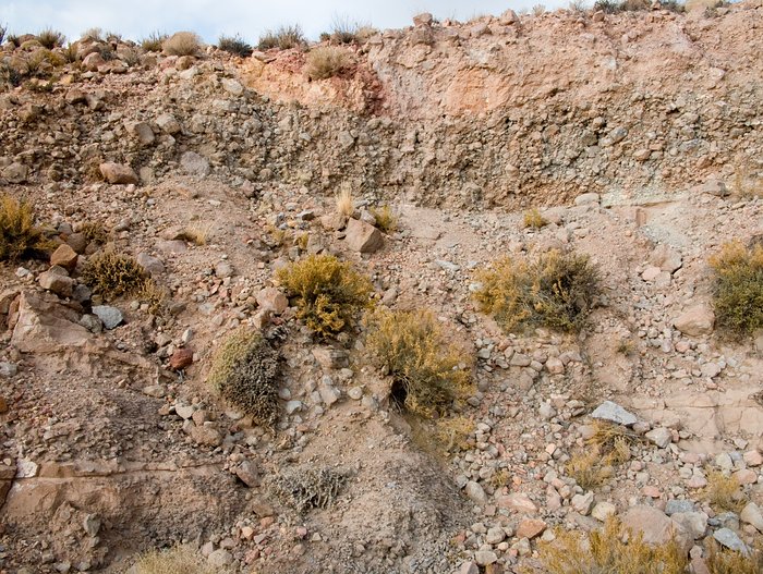 Flora and terrain at the ALMA site
