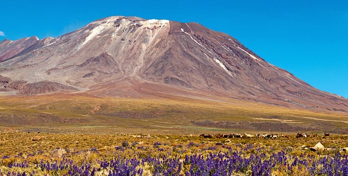 Volcano in the altiplano