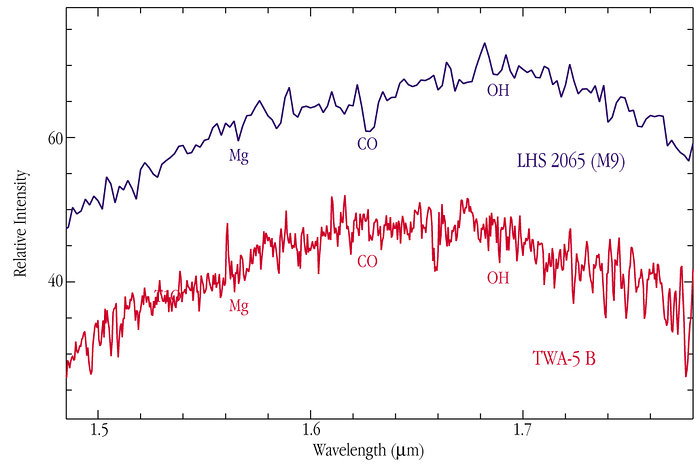 Infrared spectrum of brown dwarf TWA-5B