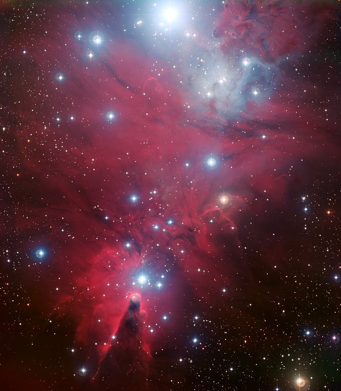 NGC 2264 et l'amas de l'Arbre de Noël