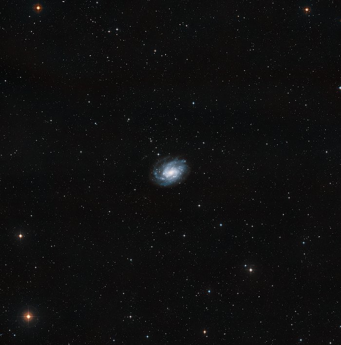 The surroundings of NGC 300