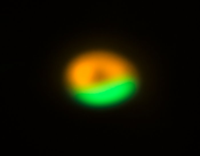 ALMA och VLT:s bild av kometfabriken omkring Oph-IRS 48