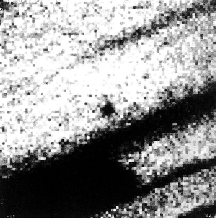 Comet Halley in February 1990