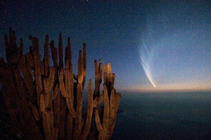 Comet McNaught over the Atacama Desert
