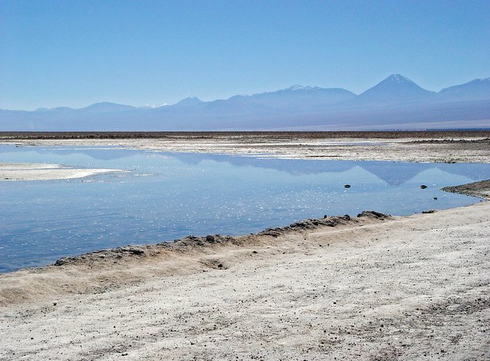 Chaxa lagoon