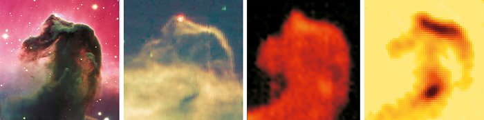 Views of the Horsehead Nebula