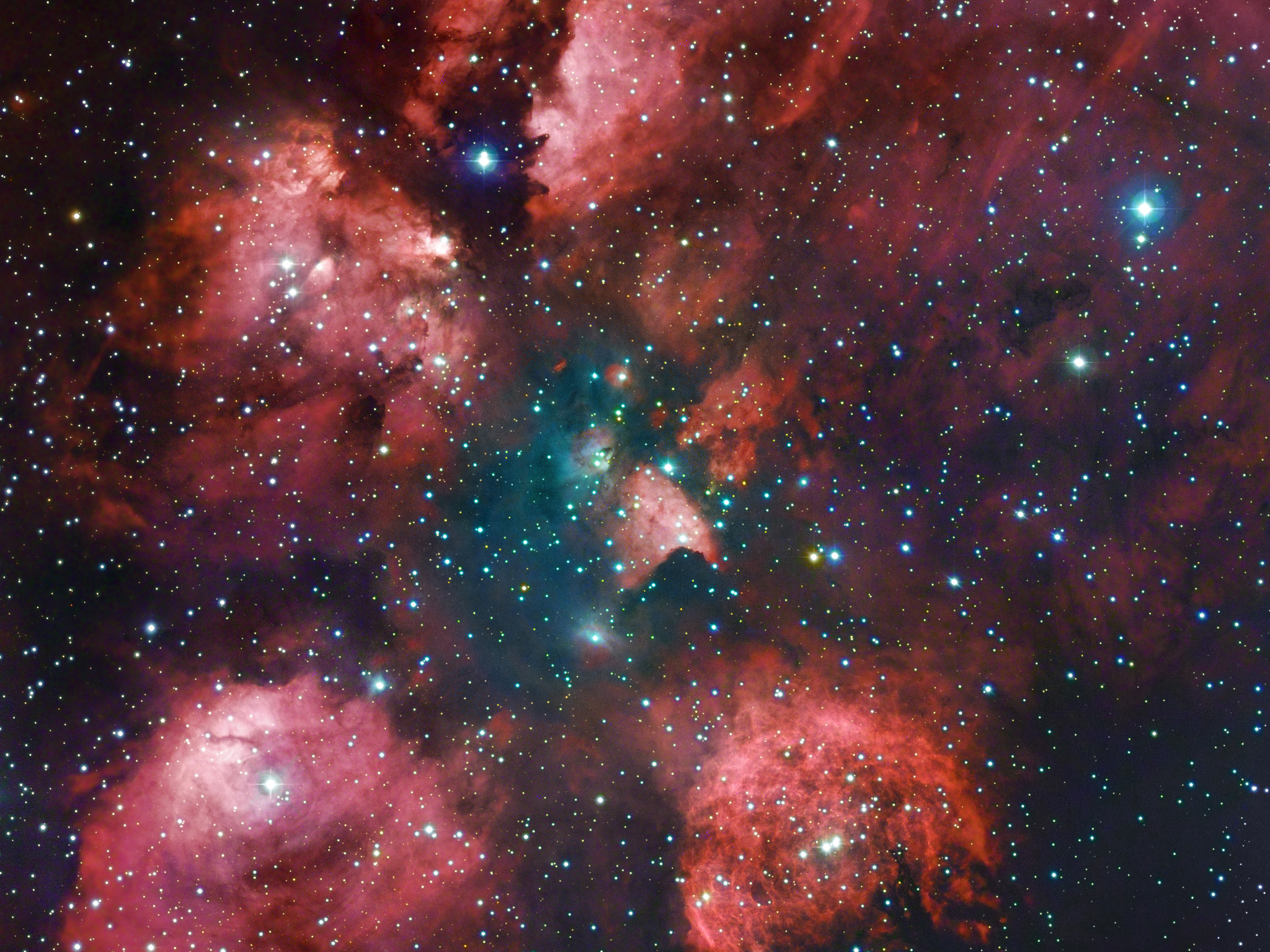 Cat Nebula