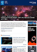 ESO — Himmelsk Havmåge fanget i flugten — Photo Release eso1913da