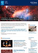 ESO Photo Release eso1340 - Young Stars Cooking in the Prawn Nebula