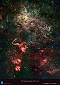 Poster: The Tarantula Nebula (SOLD OUT)