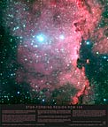 Poster: Star-forming Region RCW 108  (SOLD OUT)