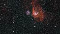 Acercándonos a las brillantes nubes de gas NGC 2014 y NGC 2020 