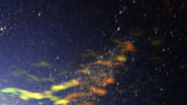 Panorering över ALMA:s bild av radiogalaxen Centaurus A