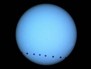 Venus Transits the Solar Disc