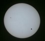 Venus and Bird Transit the Sun