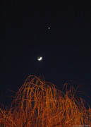 Venus and the Moon (2)
