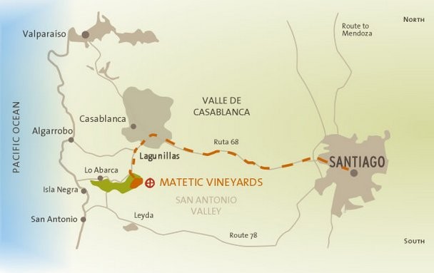 Matetic_vineyard