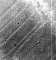 PRNU at 340 nm