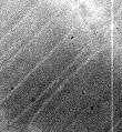 PRNU at 400 nm