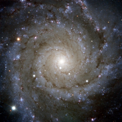 SN2013ej in M74