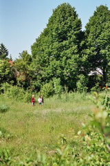 2005/05/28 Compleanno - 02