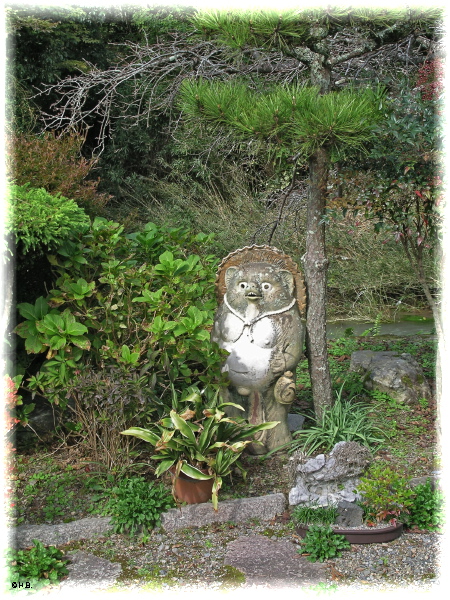 tanuki-1.jpg