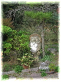tanuki-1.jpg