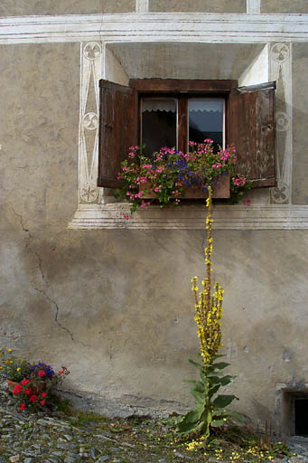 Guarda_window_1