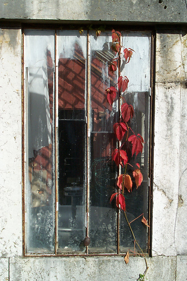 Shed_window