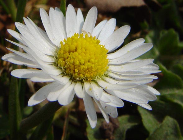 DSC03459