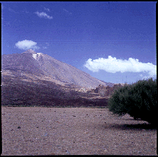 [Teide from the South]