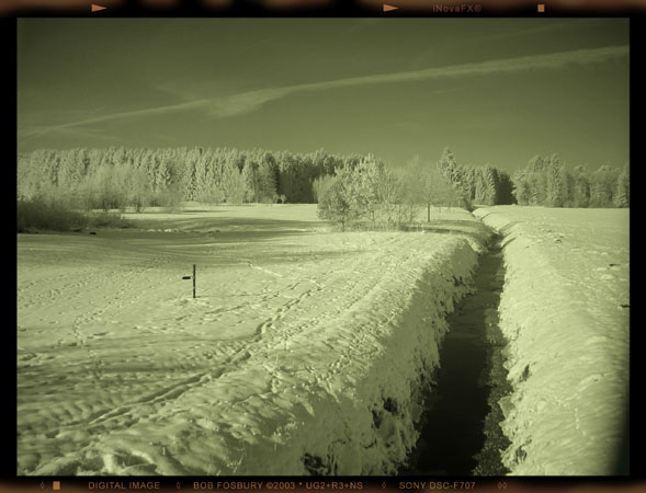 DSC00017