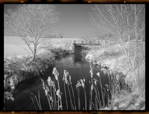 DSC00040