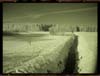 DSC00017