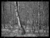 DSC00059