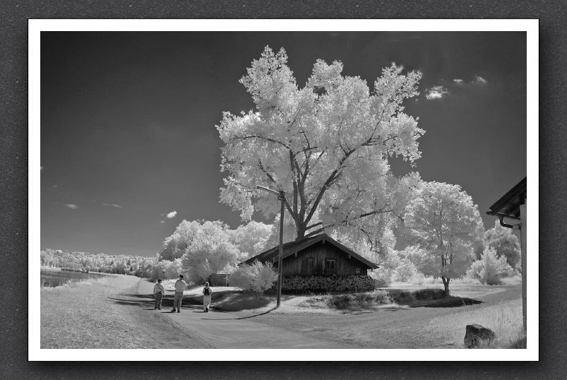 canal_hut_780