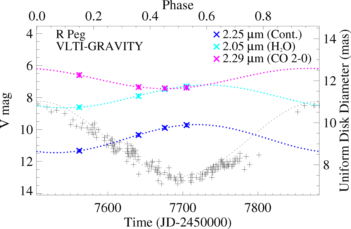 VLTI-GRAVITY measurements of cool evolved stars