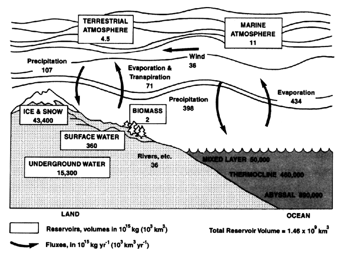 Absorption of vapors and gases by soils . Fig. 16.—Curve showing rate of  evaporationPodimk soil. >f water from aLoc. cit. &Comp. rend..  !><). 741 (1880). cCameron and Gallagher, Bui. 50, Bureau