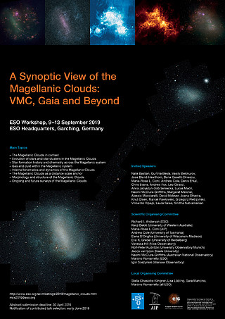 A Synoptic View of the Magellanic Clouds
