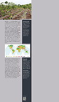 Humans as Threat for Earth