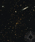 Image only (1312-3)