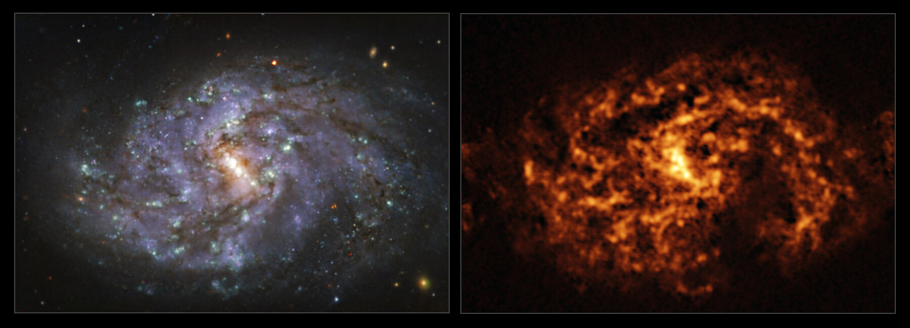 The NGC 1087 galaxy as seen with MUSE on ESO’s VLT and ALMA | ESO Svizzera
