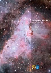 Libro: Catálogo de la exposición Awesome Universe (Inglés)
