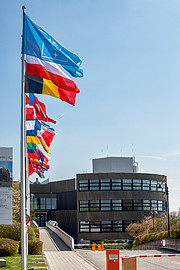 ESO Member States' flags