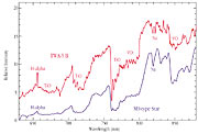 Optical spectrum of brown dwarf TWA-5B