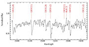 ISAAC spectrum of star from GRS 1915+105 binary system
