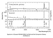 Spectrum of quasar HE0450-2958, the Blob and the companion galaxy (FORS/VLT)
