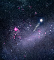 Star ejected from the Large Magellanic Cloud (artist''s view)